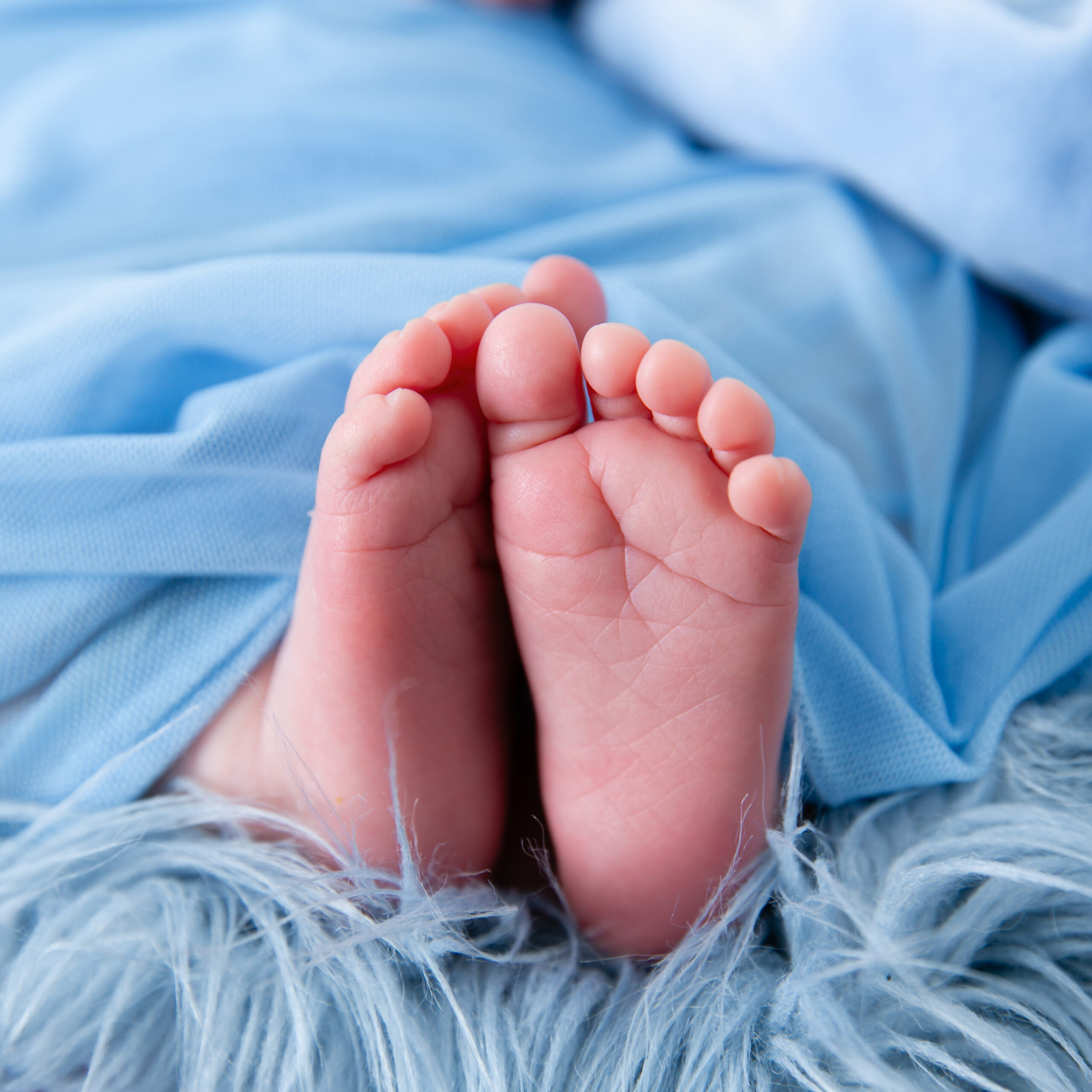 Close-up newborn photography of a little baby feet.